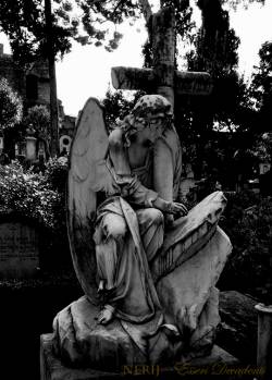 Nerij : Esseri Decadenti Nerij : Esseri Decadenti